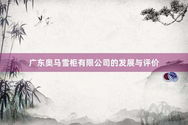广东奥马雪柜有限公司的发展与评价